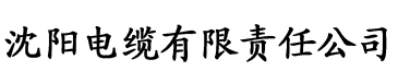 白洁电子书电缆厂logo